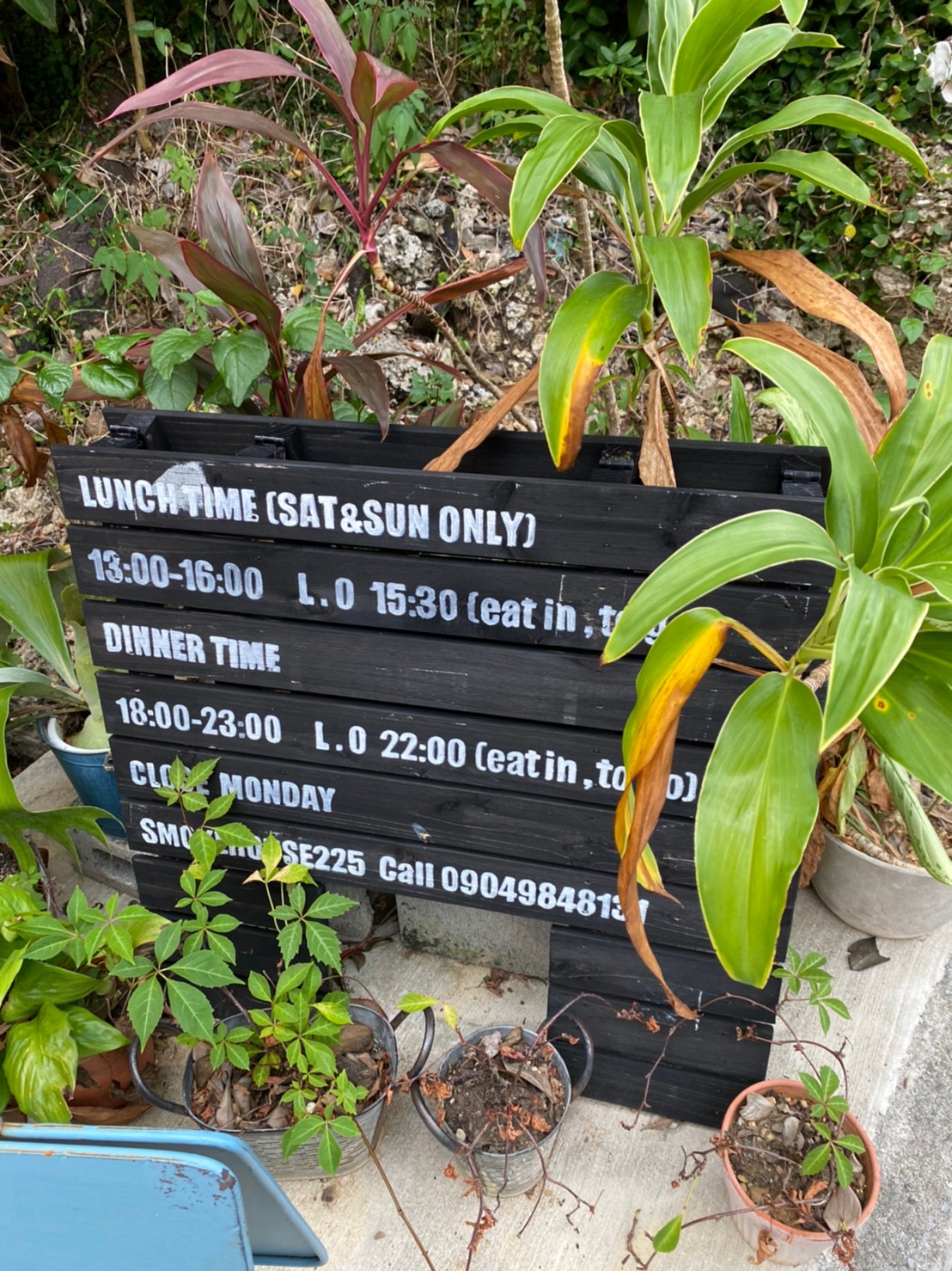 抗菌ガラスコート_スモークハウス